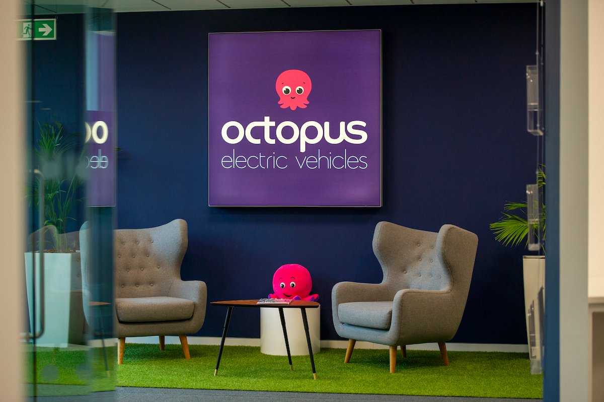 octopus energy pleite